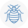 Bed Bug Extermination In Wetheral
