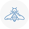 Bee Nest Removal Wetheral