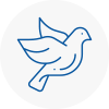 Bird Prevention Wetheral