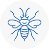 Wetheral Hornet Nest Removals