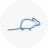 Mice Exterminators In Wetheral