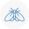 Moth Control Specialists In Wetheral