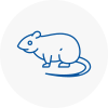Rat Control Wetheral