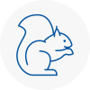 Wetheral Rodent Removals